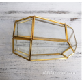 Szklane wazony Przezroczyste szklane terrarium geometryczne